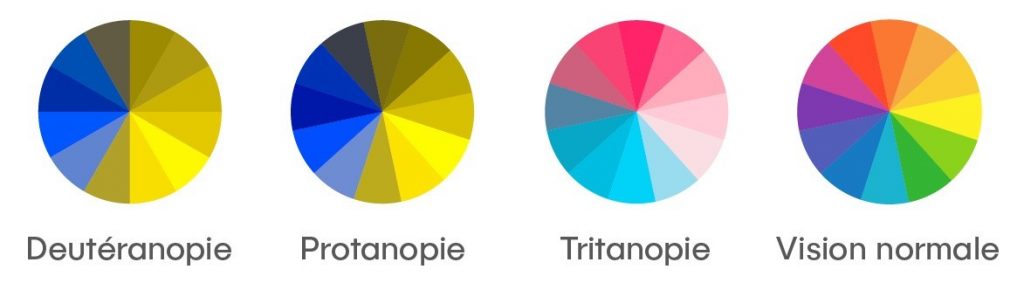 Cette image illustre comment différentes visions des couleurs. La deutéranopie, protanopie, tritanopie et vision normale perçoivent une même palette chromatique. Chaque cercle représente la gamme de couleurs visible selon un type de vision : la deutéranopie et la protanopie (formes de daltonisme rouge-vert) montrent des dominantes de jaune et de bleu avec une confusion marquée entre le rouge et le vert, tandis que la tritanopie (daltonisme bleu-jaune, plus rare) présente une gamme de roses et de bleus clairs, avec une absence notable de bleus profonds et de jaunes. En contraste, la vision normale permet une distinction claire de toutes les couleurs du spectre. L’image met en évidence l’importance de choisir des couleurs accessibles et bien contrastées pour garantir une bonne lisibilité visuelle et une bonne expérience utilisateur pour tous.
